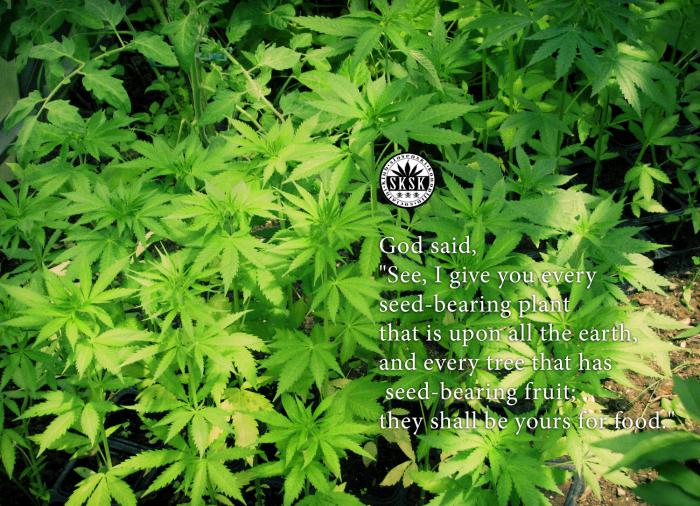 Der Slovenski Konopljin Socialni Klub hatte maßgeblichen Einfluss auf die Änderung der medizinischen Cannabisgesetze in Slowenien