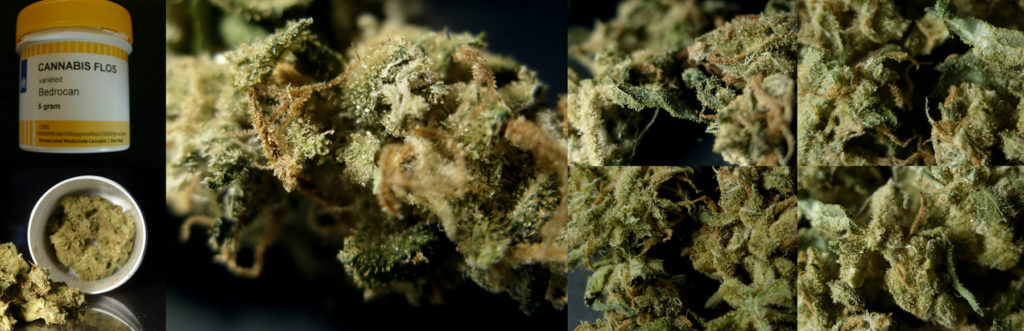 À l’heure actuelle, le cannabis de Bedrocan importé des Pays-Bas représente la meilleure valeur lorsqu’il s’agit de cannabis (© Wikimedia Commons)