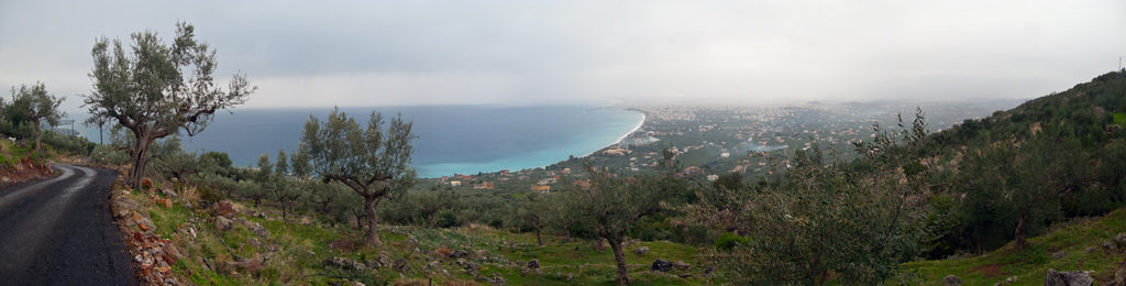 Cannabis in Greece - Sensi Seeds