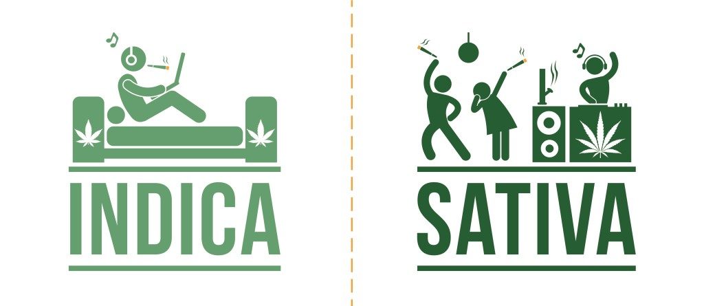 Indica y Sativa tienen efectos diferentes