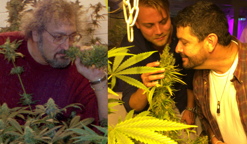 Jack Herer smelling Jack Herer the strain and Dan Herer smelling the same strain