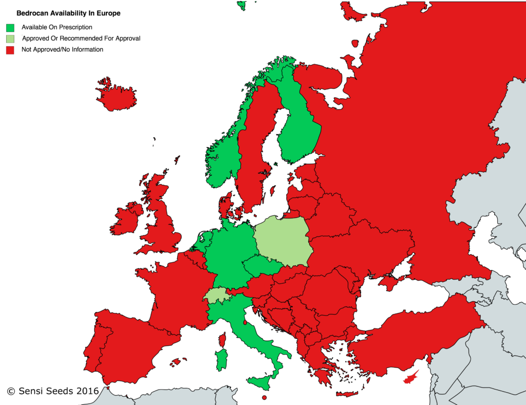 La Situación del Cannabis Medicinal en Europa – Un Resumen Completo