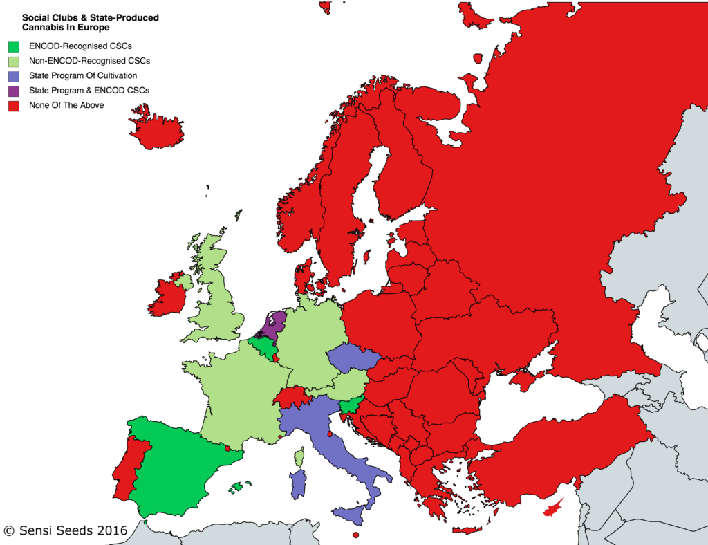La Situación del Cannabis Medicinal en Europa – Un Resumen Completo