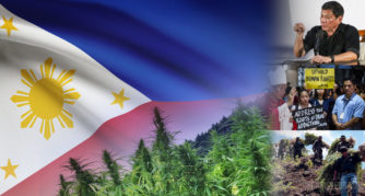 The flag of the Philippines, cannabis plants, and images of the 'war on drugs'