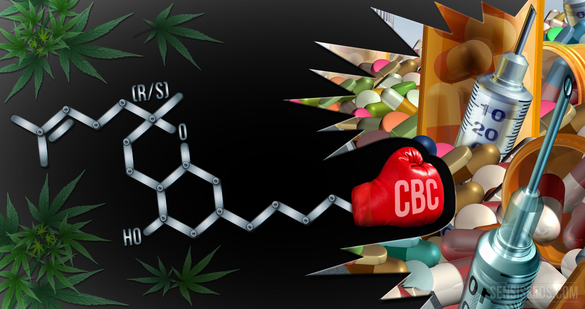 Ciencia Cannabinoide 101: ¿Qué Es El Cannabicromeno?