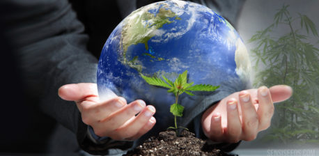 A person holding an animated Earth and a cannabis seedling growing from the dirt