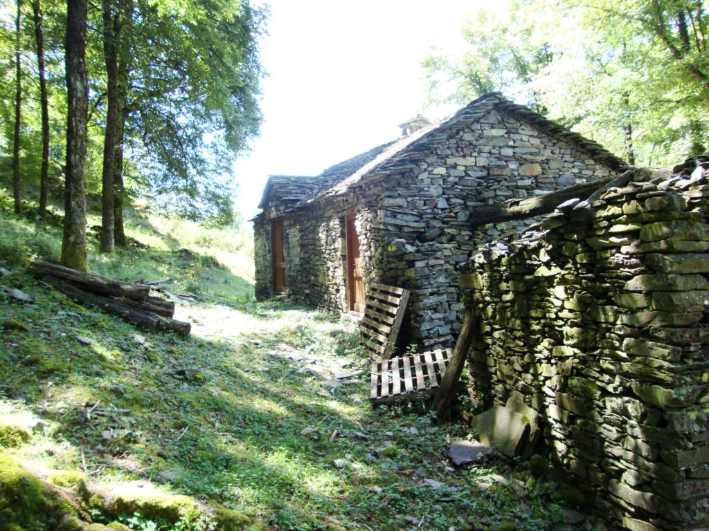 Los pueblos y aldeas abandonados se podrían reconstruir con cáñamo (© shewgaze)