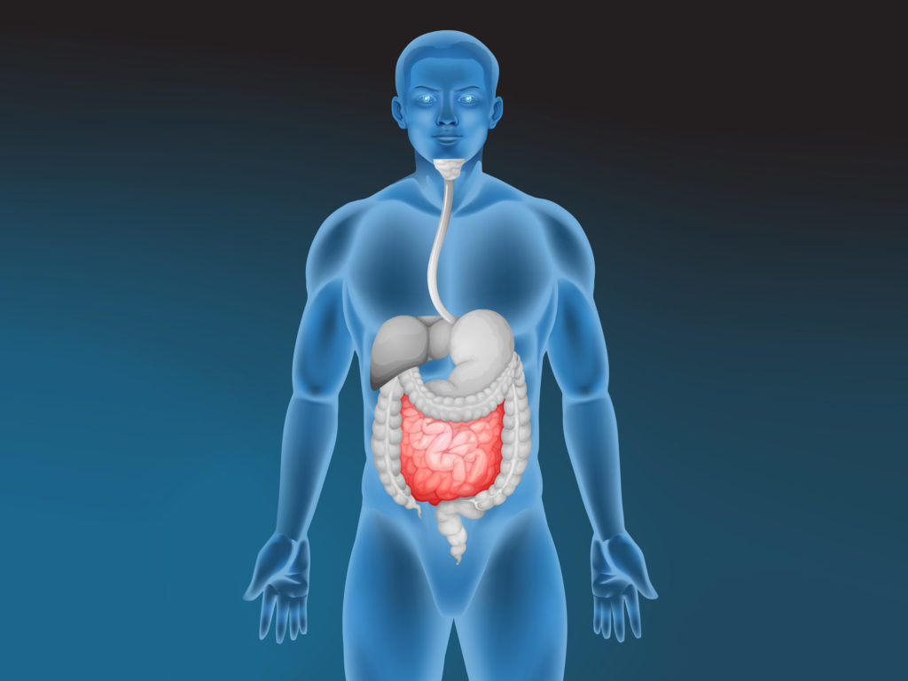 ¿Cómo te afectan los comestibles?
