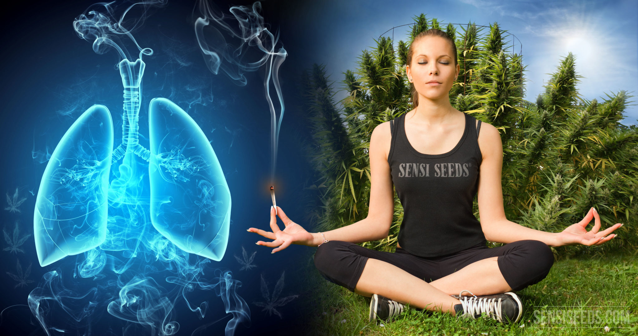 Your opinion does holding in smoke make you higher? Sensi Seeds