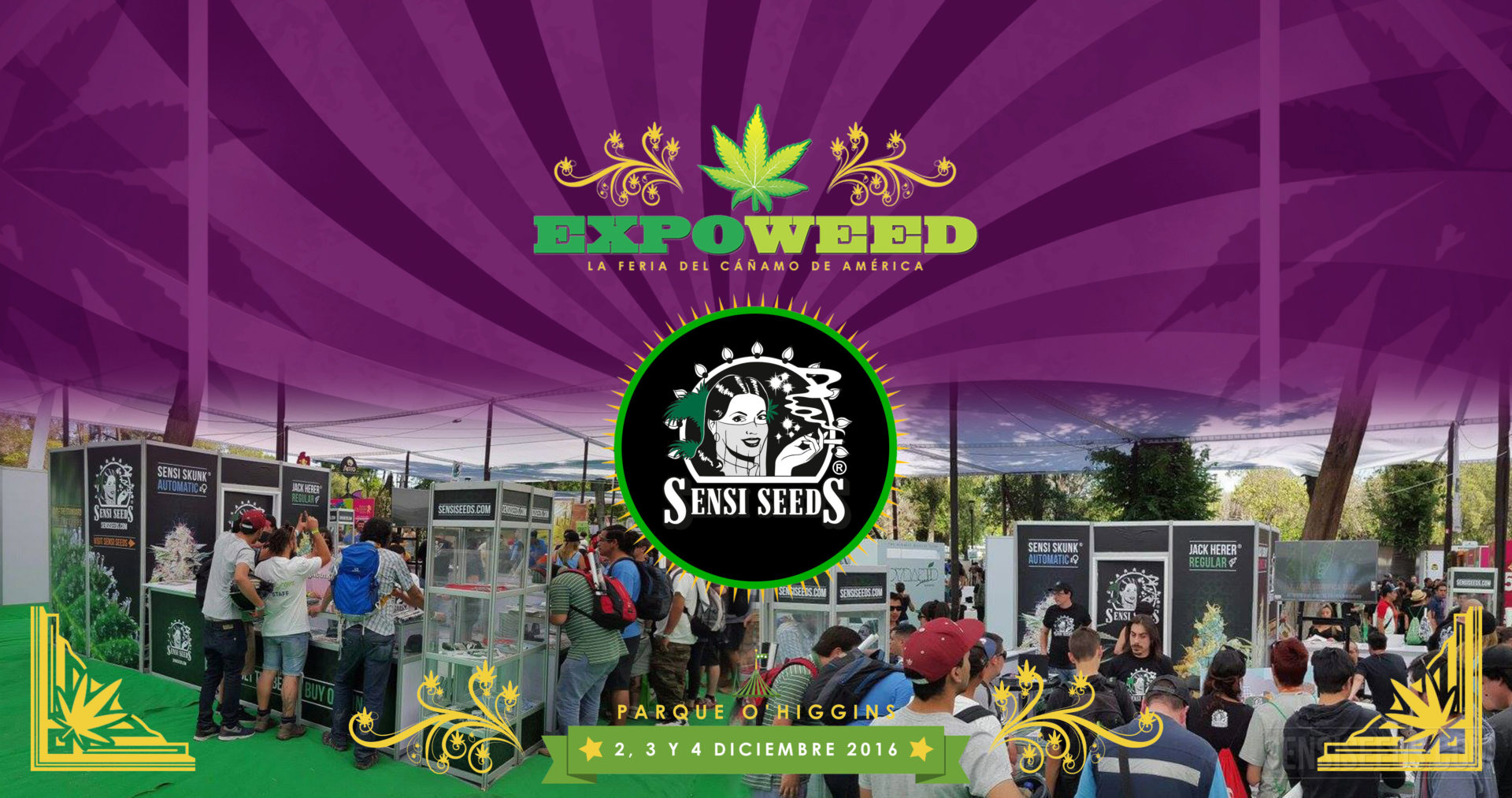 Visítanos en Expoweed 2016 Blog de Sensi Seeds