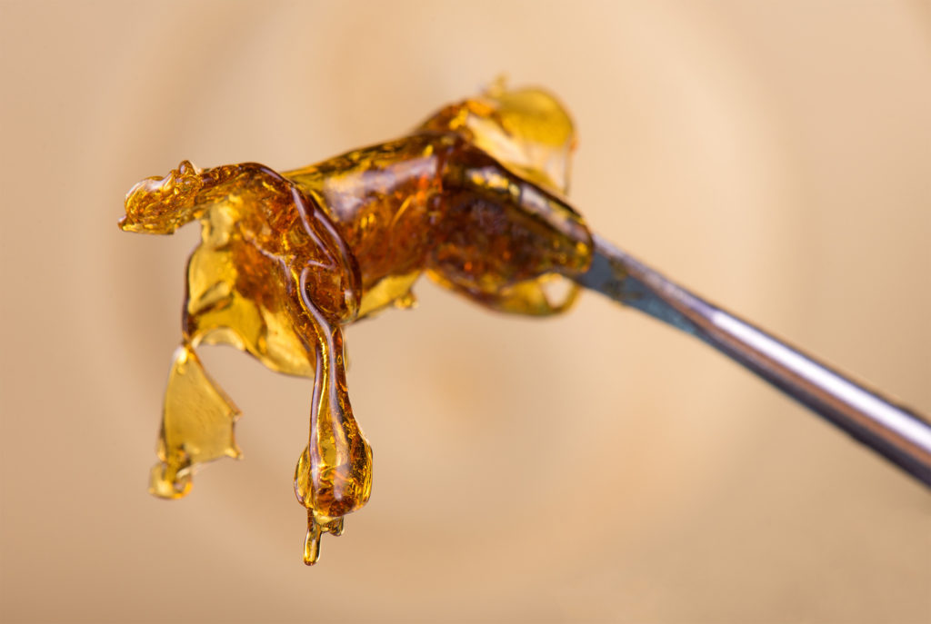 Le cannabis et les extraits obtenus de la plante ont des propriétés médicinales avérées