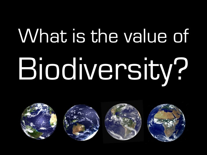 Der Verlust an Biodiversität könnte das gesamte Leben auf der Erde bedrohen (© planeta)