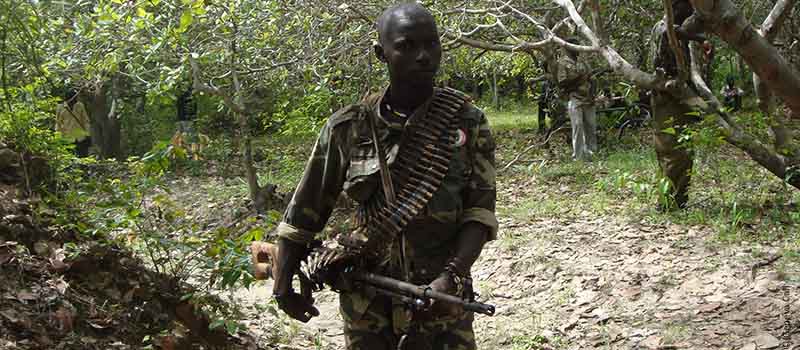 Eradications are ongoing in the conflict zone of Casamance (© Genevacall.org)