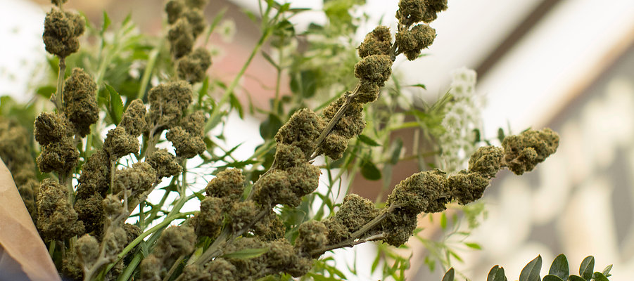 Bouquet mit Buds von Lowell Farms