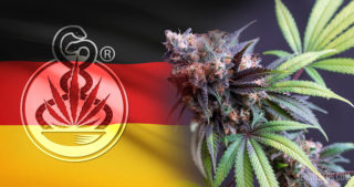 Cannabinoïdes en médecine – aperçu pour les médecins Cannabinoïdes en médecine – aperçu pour les médecins