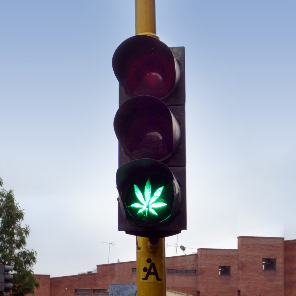 Es hora de dar luz verde a la legalización y regulación del cannabis en España