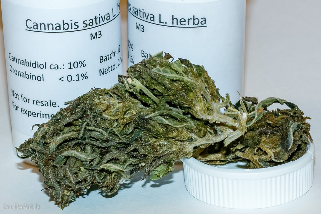 Foto von getrockneten Cannabisblüten. Im Hintergrund stehen zwei weiße Dosen mit der Aufschrift „Cannabis sativa L. herba“. Der Cannabidiol-Gehalt beträgt 10%, während Dronabinol mit weniger als 0.1 % angegeben wird.