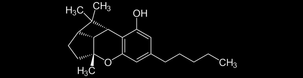 Das CBL-Molekül