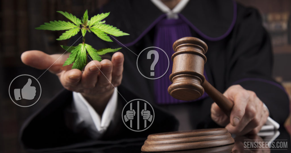 Legal – illegal – rational: We lack good examples - Sensi Seeds Blog