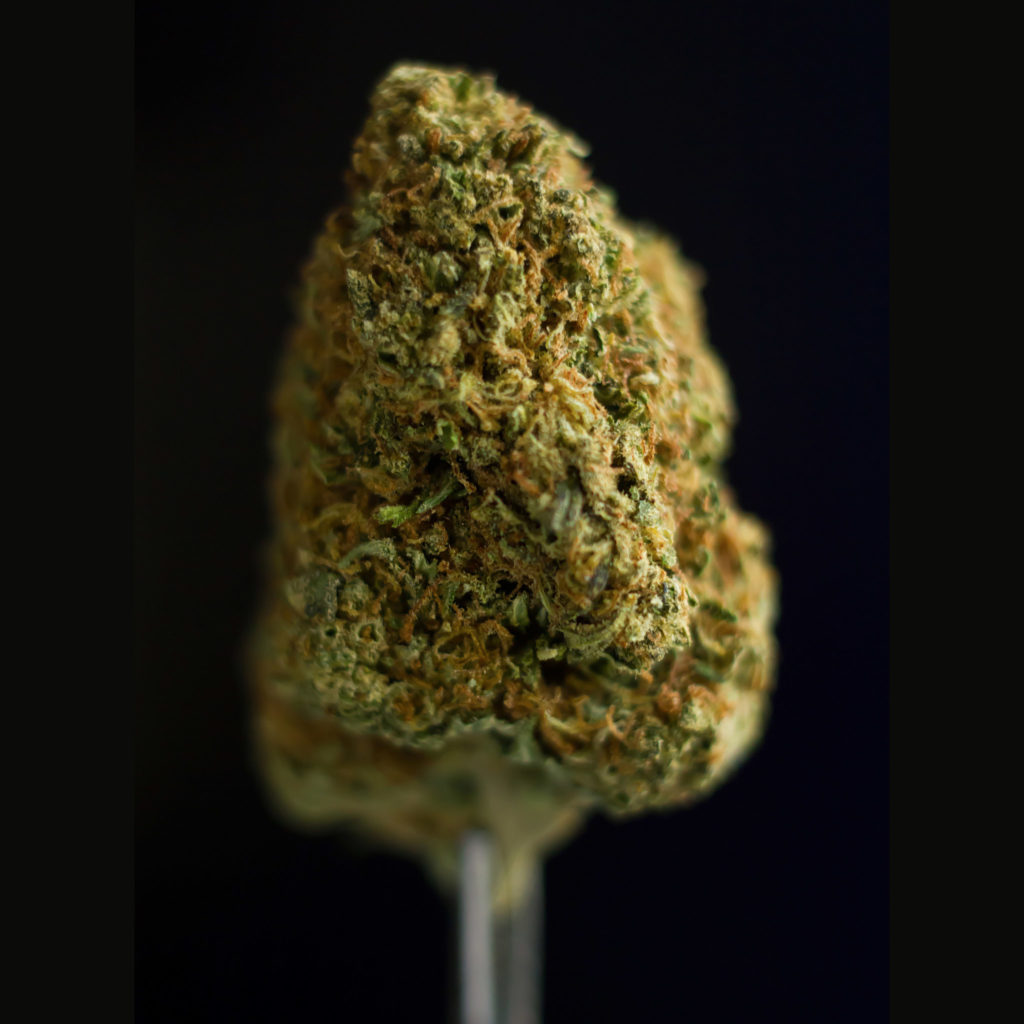 ¿Afecta el Uso de Cannabis a Nuestra Forma de Andar? - Sensi Seeds
