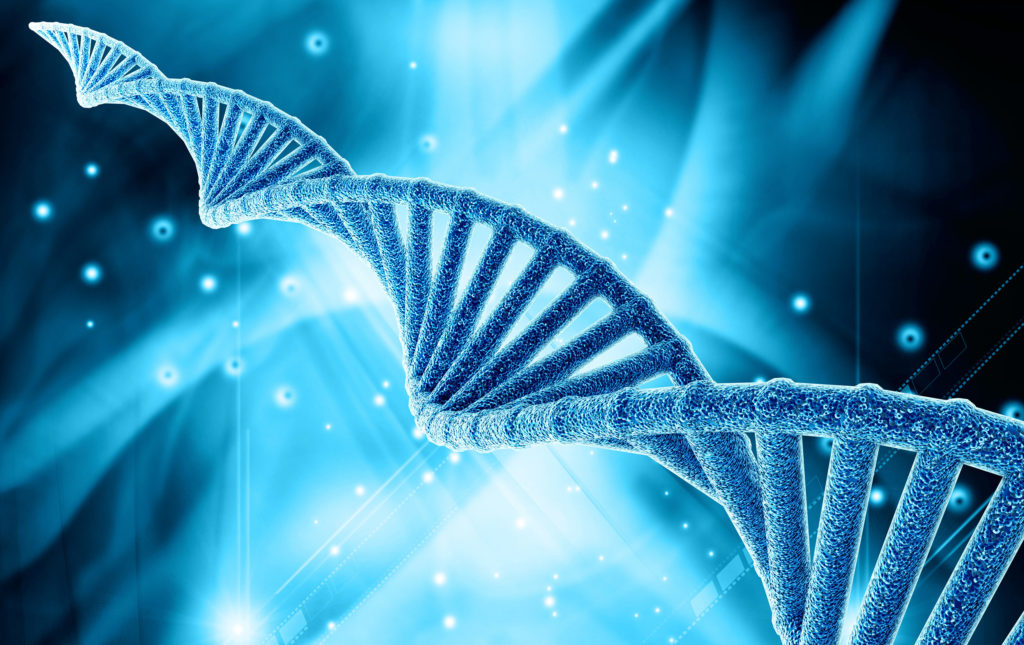 Jedes DNA-Molekül besteht aus zwei Ketten bzw. Bändern (CC. Mehmet Pinarci)