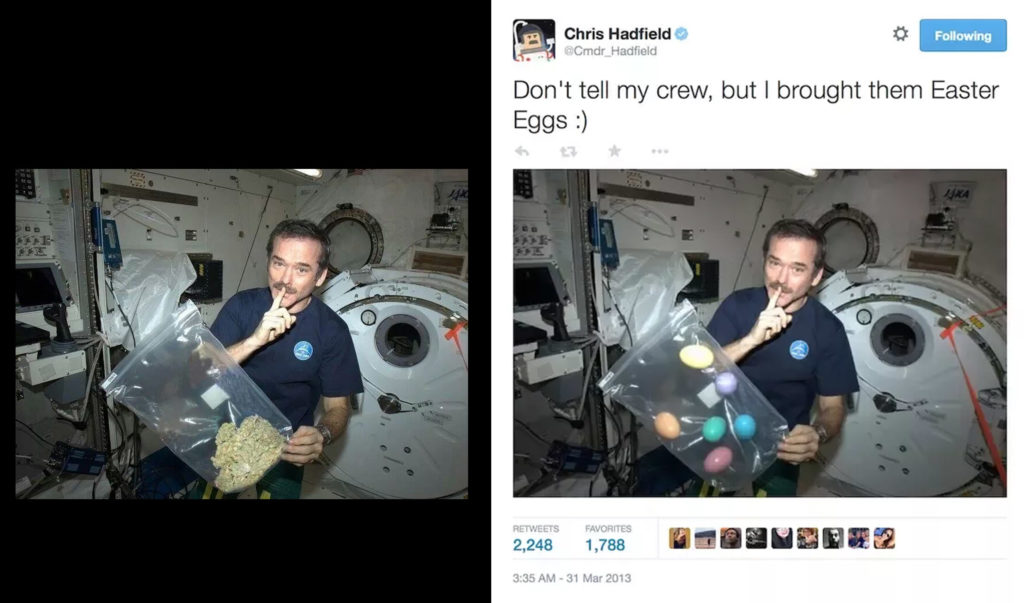 Fotomontaje de dos imágenes parecidas una al lado de la otra, una mostrando al comandante Hadfield en la estación espacial internacional, una bolsa llena de cannabis flotando frente a él, junto a la misma imagen que muestra una bolsa llena de huevos de Pascua en lugar de cannabis, enmarcada una captura de pantalla de un tweet que dice “Don’t tell my crew, but I brought them Easter Eggs :)