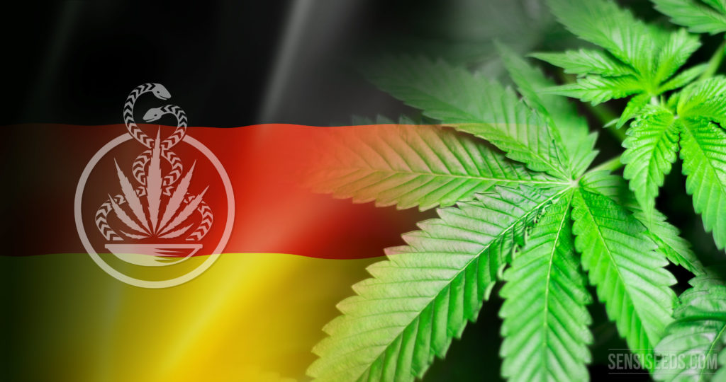 Legal Status Of Cannabis In Germany - An Overview Of Regulations On ...