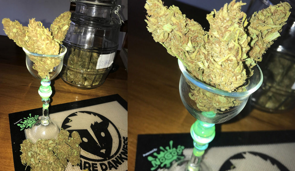 Zwei Fotos nebeneinander, die beide einen Glasbecher mit Cannabisblüten der Sorte Silver Haze zeigen. Im Foto links liegt der Fokus auf einem Einmachglas hinter dem Glasbecher, das zur Hälfte mit Cannabis gefüllt ist. Rechts eine Nahaufnahme der Cannabisblüten im Glas.