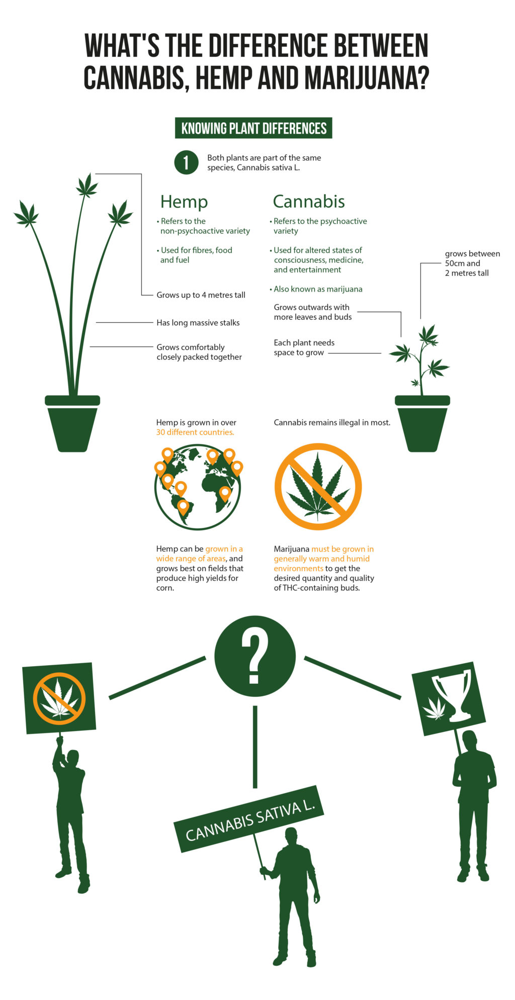 Is Marijuana Legal In Idaho : Will Idaho Legalize MMJ in the Near Future?