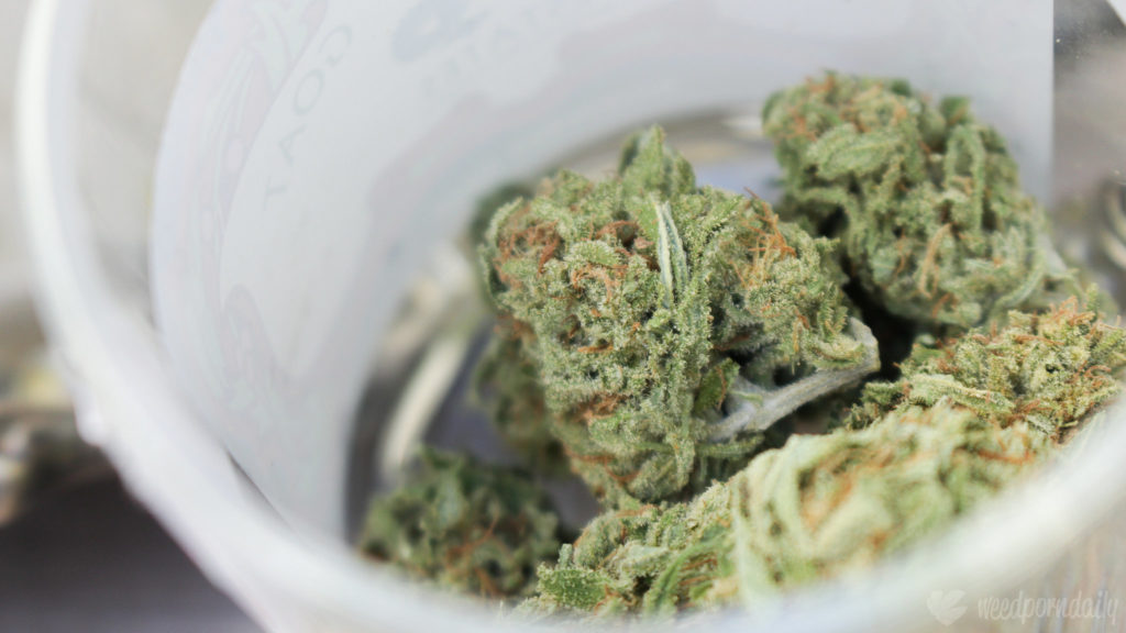 Nahaufnahme von Cannabis-Buds, die sich in einem geöffneten Behälter befinden.