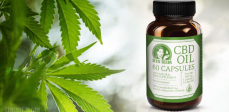 Sensi Samen-Flasche CBD-Kapseln und Cannabis-Blätter