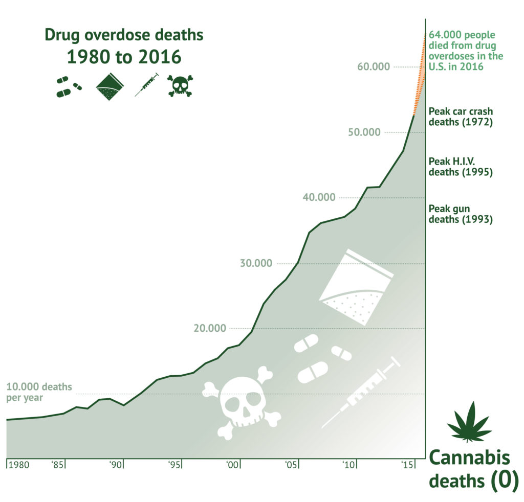Cannabis medicinal como sustituto de los opioides