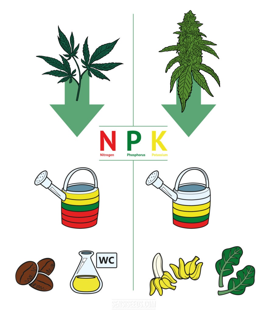 A graphic of the different fertilisers that can be used