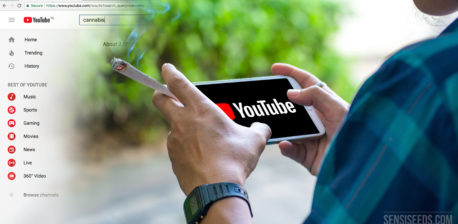 Une personne qui regarde youtube sur son téléphone avec un joint éclairé dans leur main