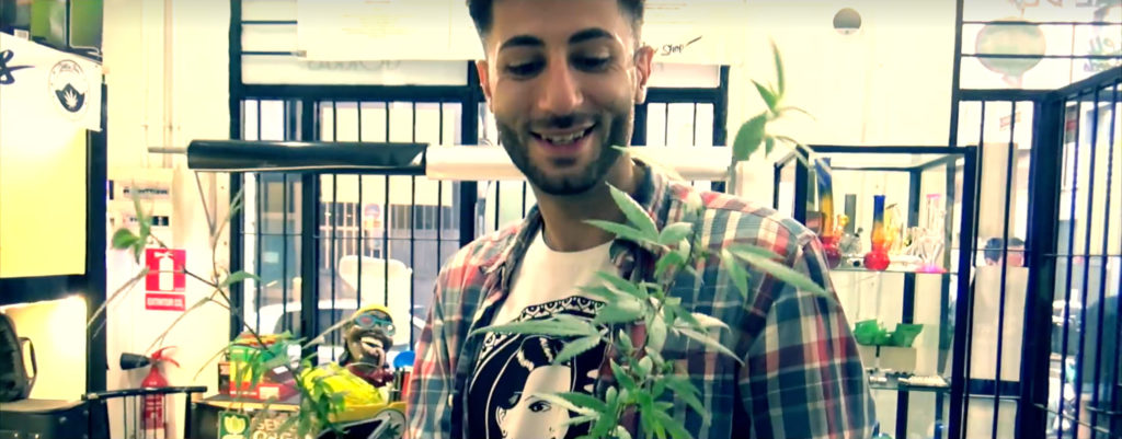 A man and a cannabis plant in front of him