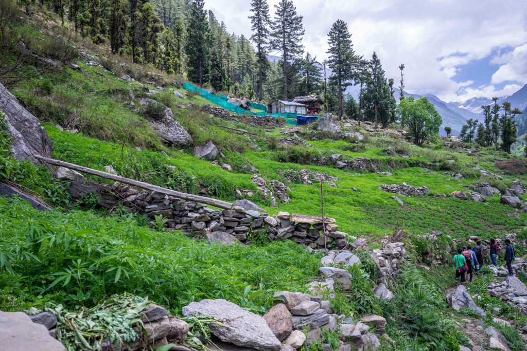 Biodiversitäts-Hotspot Malana