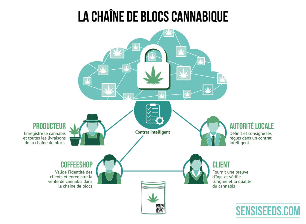 Une infographie de blockchain de cannabis