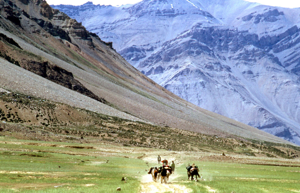 Mila jansen sur tekking au Ladakh