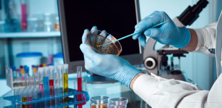 Man in a white coat holding a dish with genetically modified bacteria