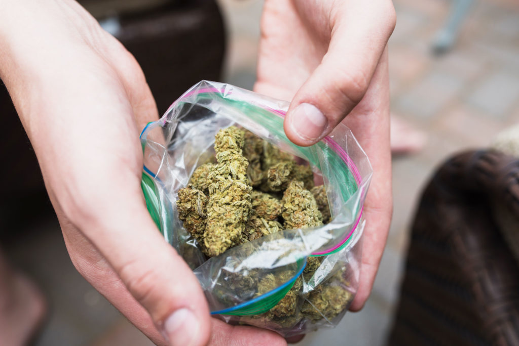 Twee handen met een plastic zak vol cannabis