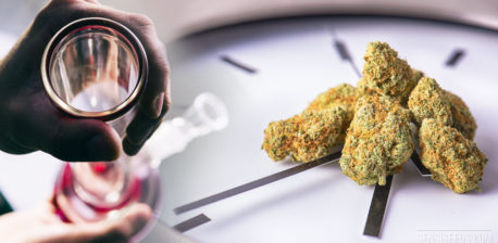 Een persoon met een bong en gestapelde gedroogde cannabisbloemen naast