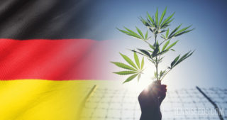 Legal Status Of Cannabis In Germany - An Overview Of Regulations On ...