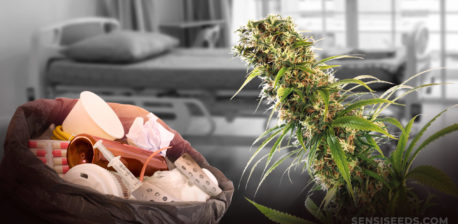 Una bolsa llena de equipos médicos en una habitación de hospital y una planta de cannabis.