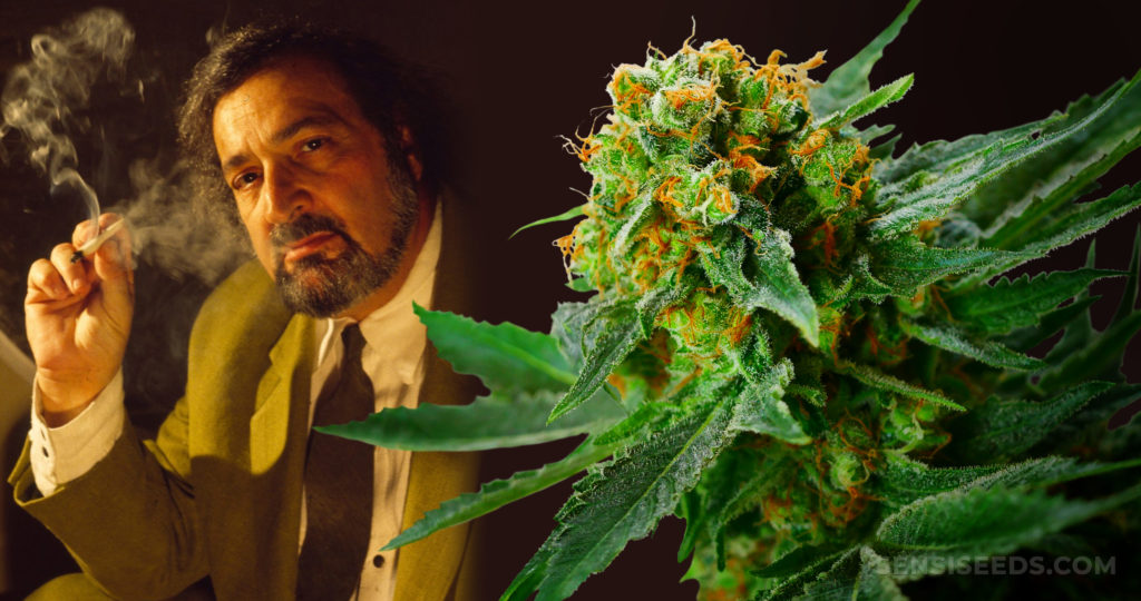 Jack Herer smoking a joint and a cannabis plant