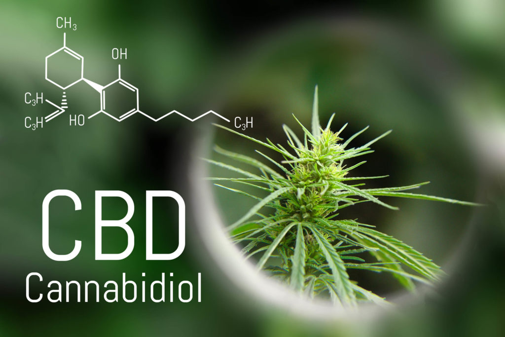 A chemical formula of CBD and a hemp plant