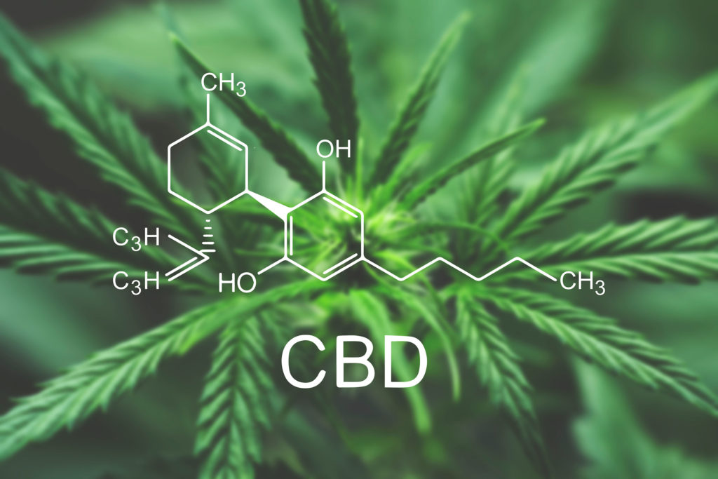 The chemical formula of CBD with a cannabis plant in the background