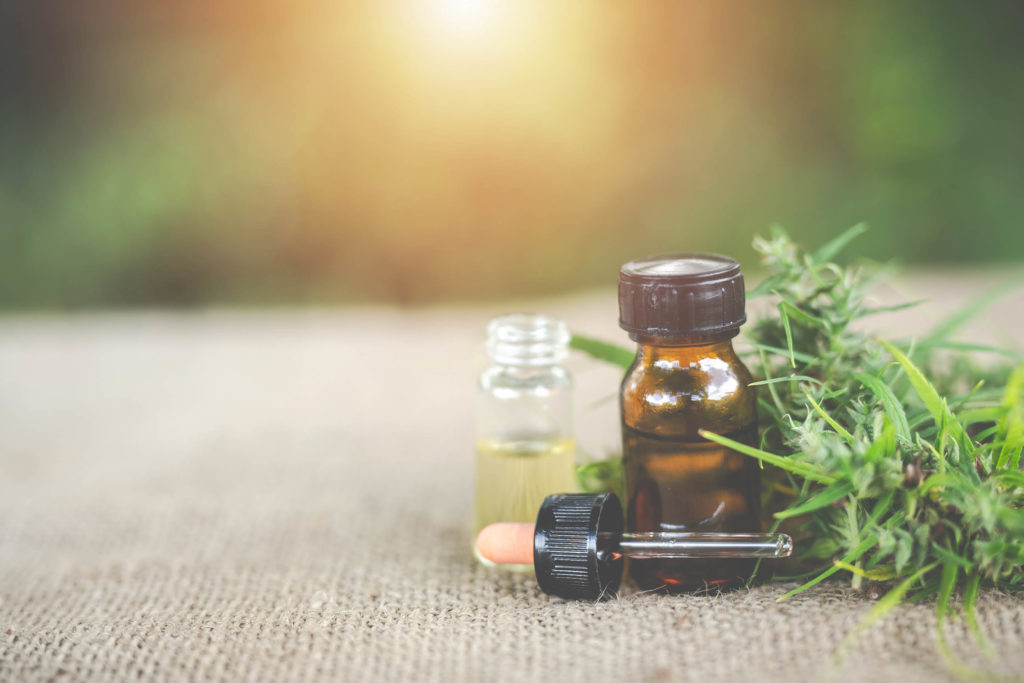 Two CBD oil bottles and a cannabis plant on some carpet