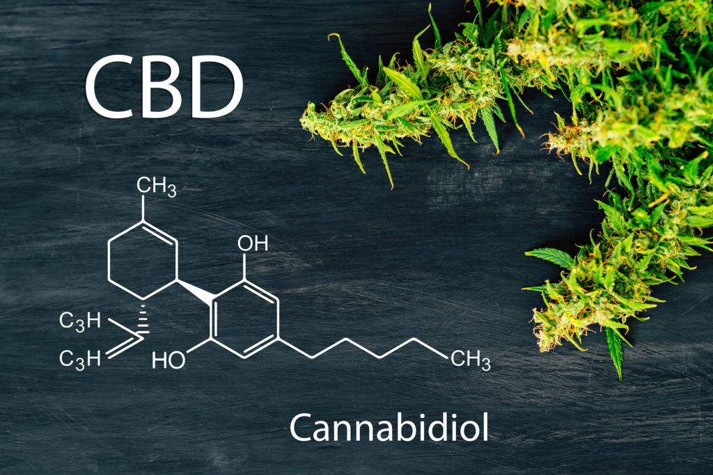 The chemical formula of CBD and a cannabis plant