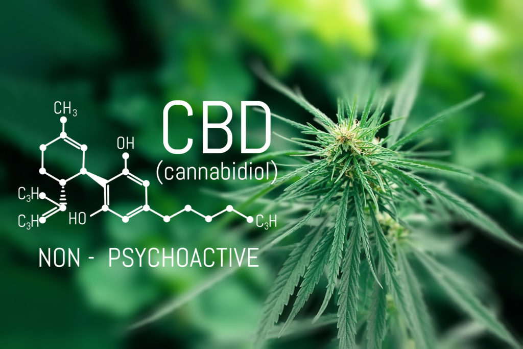 The chemical formula of CBD and a cannabis plant