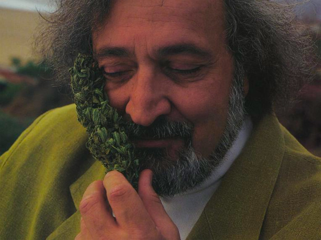 Jack Herer hält eine Cannabisknospee in sein Gesicht